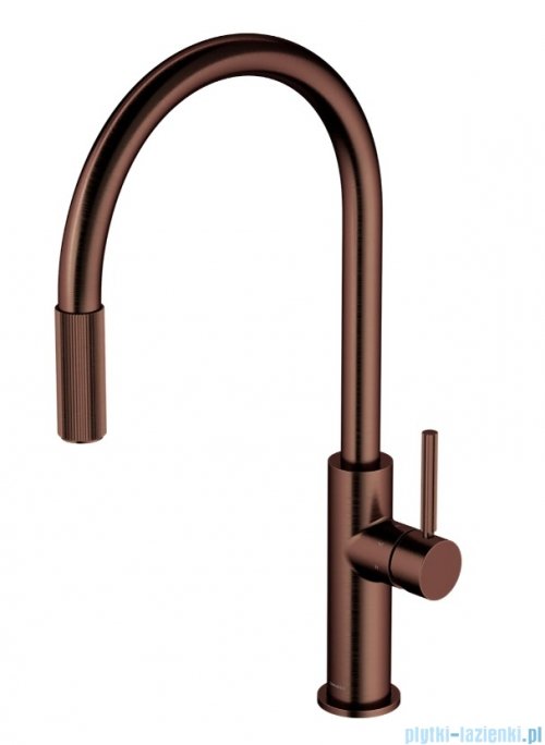 Omnires Switch bateria kuchenna z wyciąganą wylewką do podłączenia zestawu filtrującego miedź antyczna szczotkowana SW9059ORB