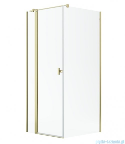 Radaway Nes Kdj II Gold kabina 120x100cm lewa złoty połysk 10032120-09-01L/10039100-01-01