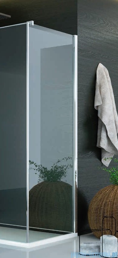 SanSwiss Pur PUDT3P Ścianka boczna 75x200cm przejrzyste PUDT3P0751007