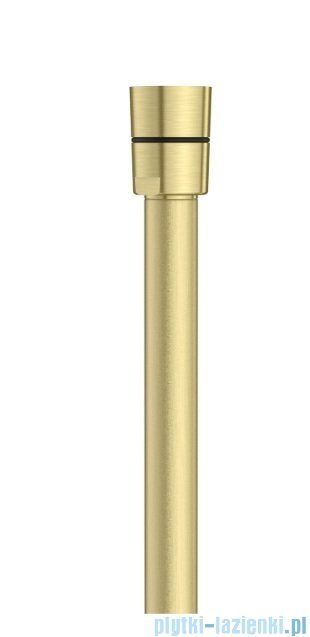 Roca FLEX wąż prysznicowy przeciwskręceniowy PVC 150 cm Brushed Gold (Everlux-PVD) A5B2118VA0