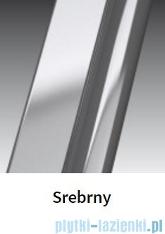 Novellini Drzwi prysznicowe obrotowe LUNES G 72 cm szkło przejrzyste profil srebrny LUNESG72-1B