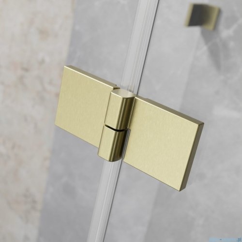 Radaway Essenza Pro Brushed Gold Kdj+S kabina 70x120x70cm lewa szczotkowane złoto 10097312-99-01L/10098070-01-01/10098070-01-01