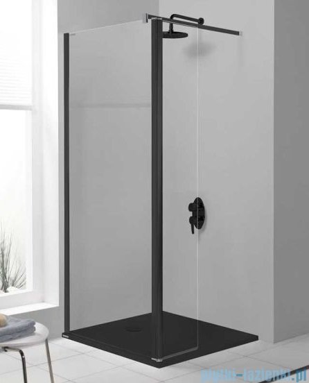 Sanplast Prestige III PR2/PRIII kabina Walk-In z elementem ruchomym 120x198 cm czarny matowy 600-073-1000-59-401