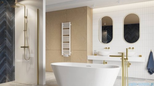 Excellent Corido lustro wiszące LED owalne 100x50 cm mata grzewcza złoto szczotkowane DOEX.CO100.050.GB