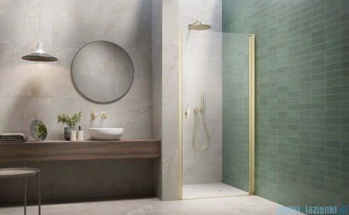 Radaway Nes Brushed Light Gold Dwj I Drzwi wnękowe 80cm prawe szczotkowane jasne złoto szkło przejrzyste 10026080-98-01R