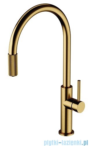 Omnires Switch bateria kuchenna z zestawem filtrującym złoty szczotkowany SW9057-FD1GLB