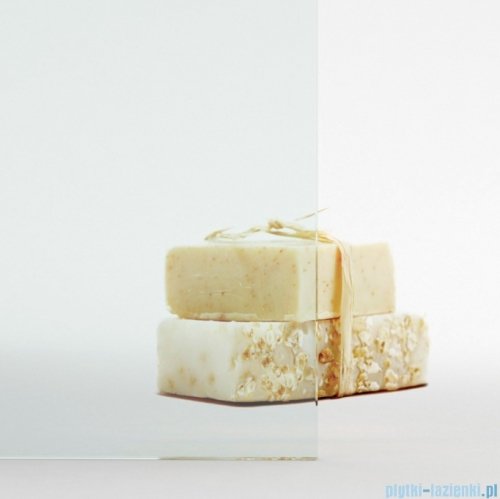 Radaway Idea DWJ Brushed Nickel drzwi wnękowe 115cm lewe szczotkowany nikiel 387022-91-01L