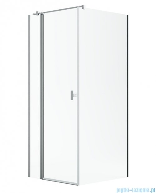 Radaway Nes Kdj II Brushed Nickel kabina 80x100cm lewa szczotkowany nikiel 10032080-91-01L/10039100-01-01