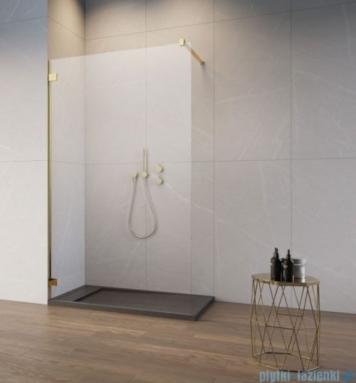 Radaway Essenza Pro Gold 120x200 kabina Walk-in 10103120-09-01