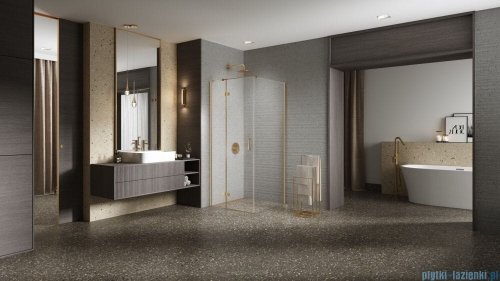 New Trendy Nesta Gold Brushed kabina 120x110x200 cm lewa wspornik równoległy złoto szczotkowane/szkło przejrzyste K-4428