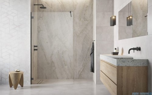 Radaway Essenza Pro Brushed GunMetal 95x200 kabina Walk-in szczotkowany grafit 10103095-92-01