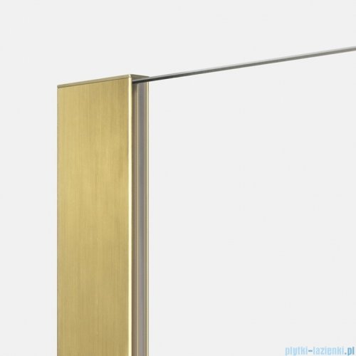 New Trendy Nesta Gold Brushed kabina Walk-In 120x200 cm złoto szczotkowane K-1743