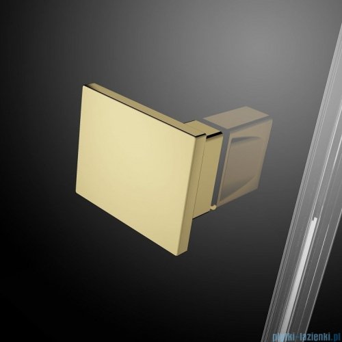 Radaway Essenza Pro Gold Dwj drzwi wnękowe 110cm lewe złoty połysk/szkło przejrzyste 10099110-09-01L