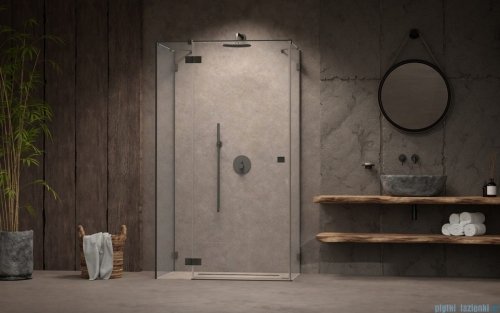 Radaway Essenza Pro Brushed GunMetal Kdj+S kabina 100x80x100cm lewa szczotkowany grafit 10097380-92-01L/10098100-01-01/10098100-01-01
