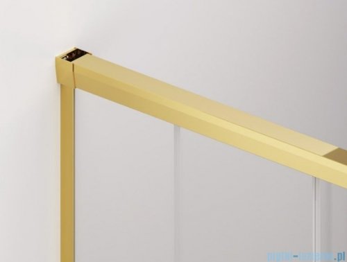 SanSwiss Cadura Gold Line drzwi przesuwne 75cm jednoskrzydłowe lewe z polem stałym CAE2G0751207