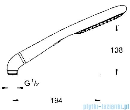 Grohe Rainshower Eco prysznic ręczny DN15  27274000
