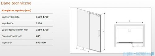 Sanplast drzwi przesuwne D2/ALTIIa-160-170 160-170x210 cm przejrzyste 600-121-1561-42-401