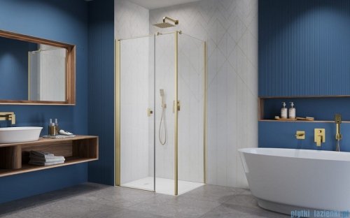 Radaway Nes Kds I Brushed Gold kabina 120x75cm lewa szczotkowane złoto 10023120-99-01L/10043075-99-01
