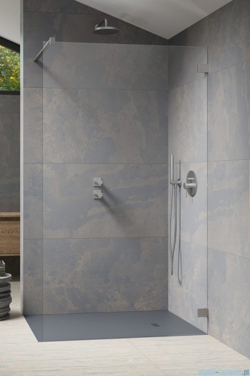 Radaway Essenza Pro Brushed Nickel 80x200 kabina Walk-in szczotkowany nikiel 10103080-91-01