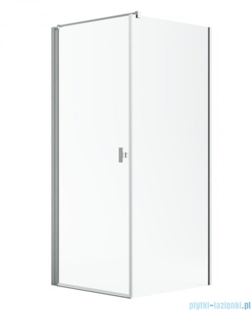 Radaway Nes Kdj I Brushed Nickel kabina 100x70cm lewa szczotkowany nikiel 10022100-91-01L/10039070-01-01