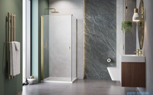 Radaway Nes Kdj I Brushed Gold kabina 100x80cm lewa szczotkowane złoto 10022100-99-01L/10039080-01-01
