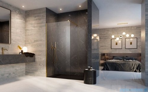 Radaway Modo New Gold II kabina Walk-in 110x200 złoty połysk/szkło przejrzyste 389114-09-01