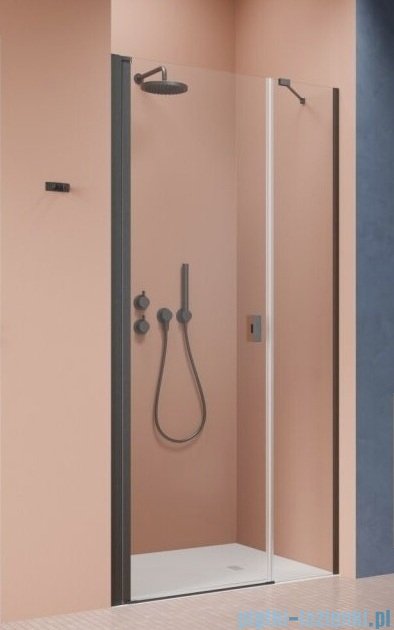 Radaway Nes Brushed GunMetal Dws drzwi wnękowe 100cm lewe szczotkowany grafit szkło przejrzyste 10028100-92-01L