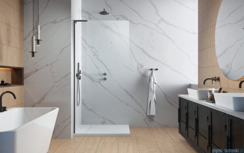Radaway Modo SL II Brushed GunMetal kabina Walk-in 100x200 lewa szczotkowany grafit 10319104-92-01L