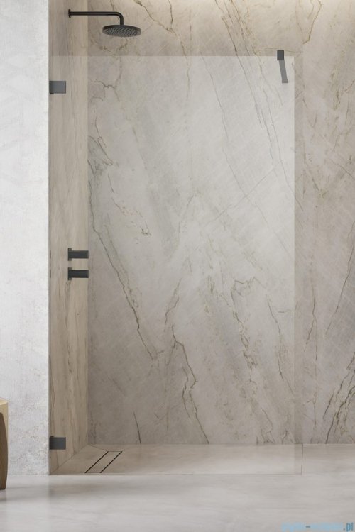 Radaway Essenza Pro Brushed GunMetal 155x200 kabina Walk-in szczotkowany grafit 10103155-92-01 