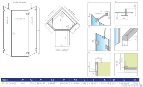 Radaway Essenza Pro Brushed Nickel Ptj kabina pięciokątna 90x100 prawa szczotkowany nikiel 10100000-91-01R/10100700-01-01