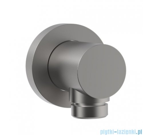 Roca kolanko ścienne Aqua ROUND 1/2" do podłączenia natrysku Inox (Everlux-PVD) A5B1450SM0