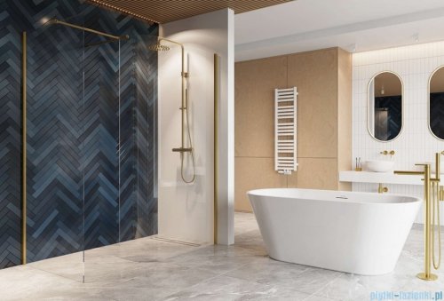 Excellent Vidoq walk-in kabina prysznicowa gięta, ścianka prosta 100cm, ścianka gięta 83cm złoty połysk KAEX.1507.K.1000.0830.GL