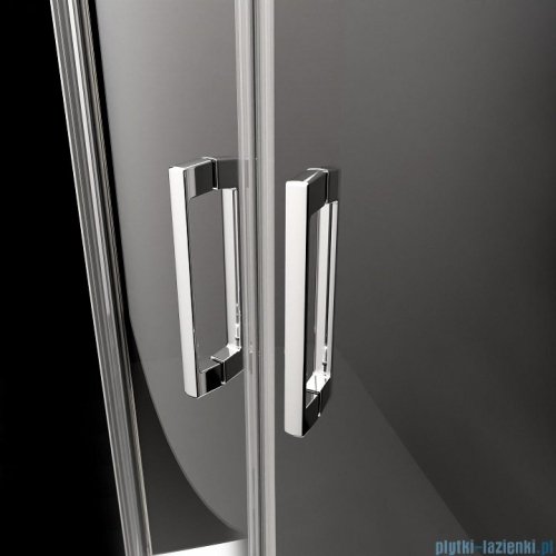 Radaway Premium Pro Kdj kabina 100x80cm lewa szkło przejrzyste 1015100-01-01L/1016080-01-01