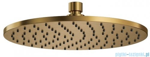 Omnires Contour system prysznicowy podtynkowy złoto szczotkowane SYSCT10GLB