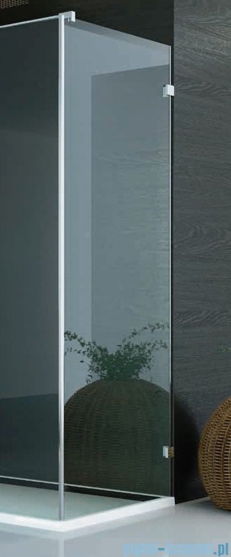SanSwiss PUR PU31 Ścianka boczna wymiary specjalne 100-160/do 200cm Master Carre PURDT3SM41030