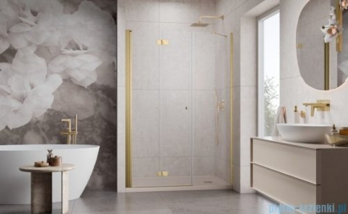 Radaway Nes Brushed Gold DWSB drzwi wnękowe 140cm W3 lewe złoto szczotkowane szkło przejrzyste 10044950-99-01L/10045450-01-01