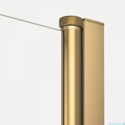 New Trendy New Soleo Gold Brushed 100x70x195 cm kabina wspornik skośny złoto szczotkowane/szkło przejrzyste K-4188