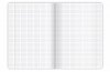 Zeszyt A5 96k kratka margines BIRDS EYE 400182452 TOP 2000