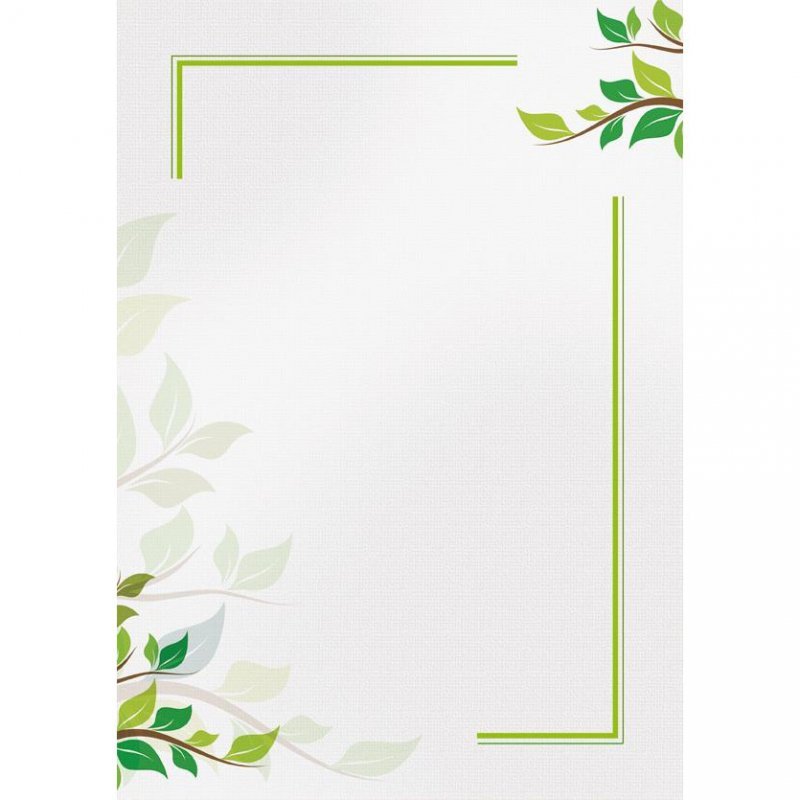 Dyplom A4 GREEN 170g (25ark) 218917 GALERIA PAPIERU