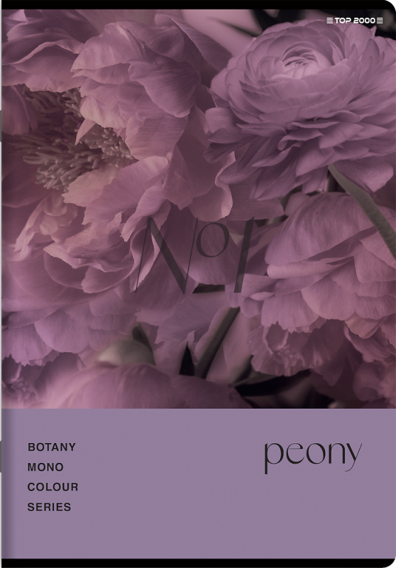 Zeszyt A5 60k kratka margines BOTANY 400182432 TOP 2000