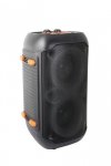 ESPERANZA GŁOŚNIK BT FM LED RGB KARAOKE SINGER EP156