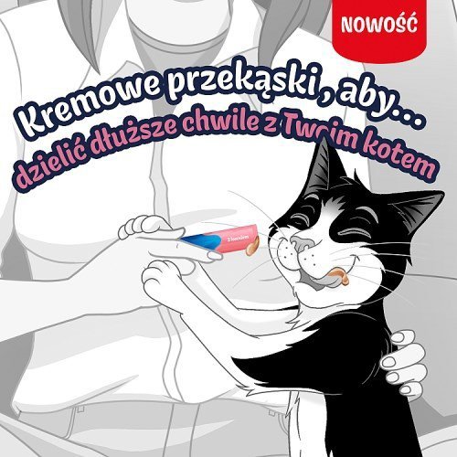 PURINA FELIX Deli Moments Salmon 4x10g