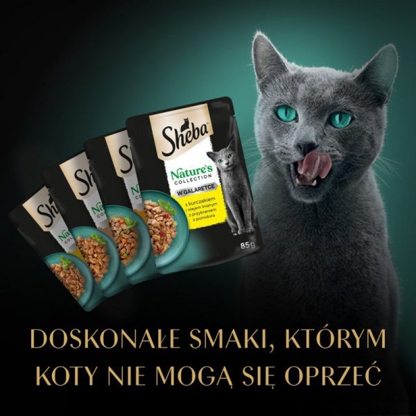 SHEBA Nature&#039;s Collection drobiowe smaki w galarecie- Drób - Adult- Mokra karma dla kota- 40x85