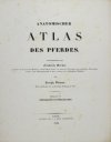 GERBER Friedrich, VOLMAR Joseph - Anatomischer atlas des Pferdes. Hsrg.