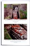 OLSZACKI Tomasz, RÓŻAŃSKI Artur - Zamek w Gołańczy. Dzieje i architektura od połowy XIV po schyłek XVIII wieku