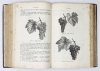 SCHMIDLIN [Eduard] - Schmidlin's Gartenbuch. Praktische Anleitung zur Anlage und Bestellung der Haus- und Wirthschaftgärten nebst Beschreibung und Kultur-Anweisung [...]. Vierte Aul. Mit 751 in den Text gedruckten Holzschnitten und 9 farbigen Gartenpl