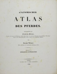 GERBER Friedrich, VOLMAR Joseph - Anatomischer atlas des Pferdes. Hsrg.