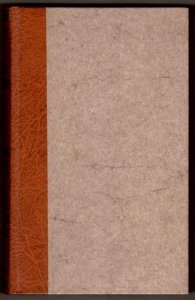 Myśli o pismach polskich z uwagami nad sposobem pisania w rozmaitych materyach. (reprint)