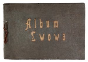 ALBUM Lwowa. Heljotypje artystyczne.