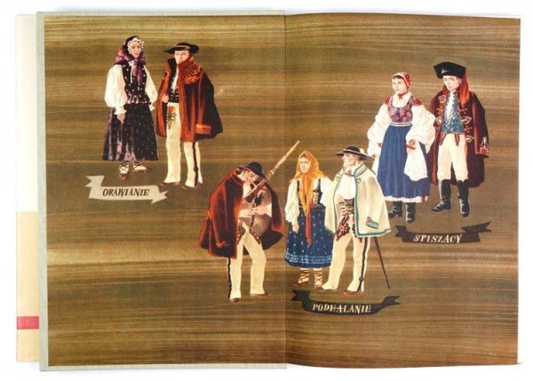 SAYSSE-TOBICZYK Kazimierz - Pod wierchami Tatr.